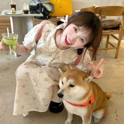 舒克贝塔第四季